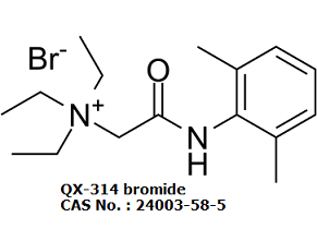 QX-314 Br 24003-58-5